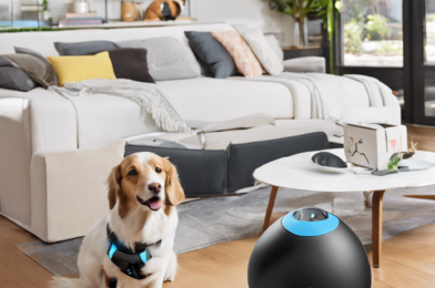 High-Tech Pet Gadgets to Make Life Easier